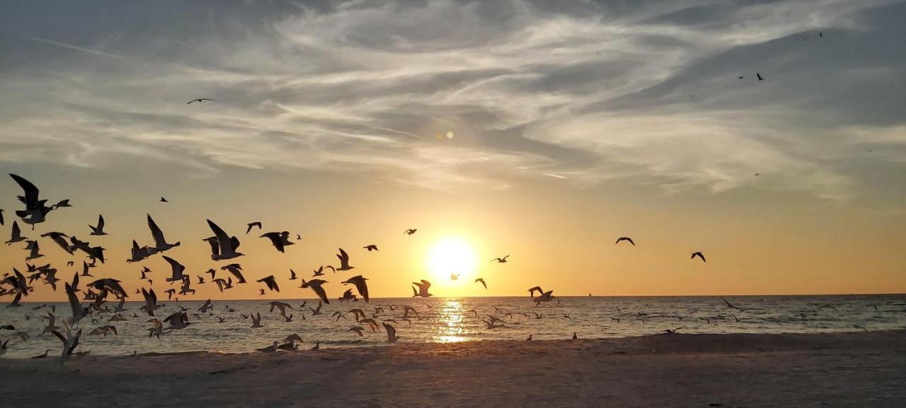 Sunset Vistas 211N Villa St. Pete Beach Exterior foto