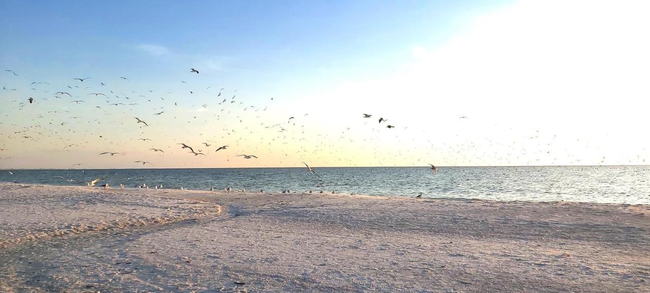 Sunset Vistas 211N Villa St. Pete Beach Exterior foto